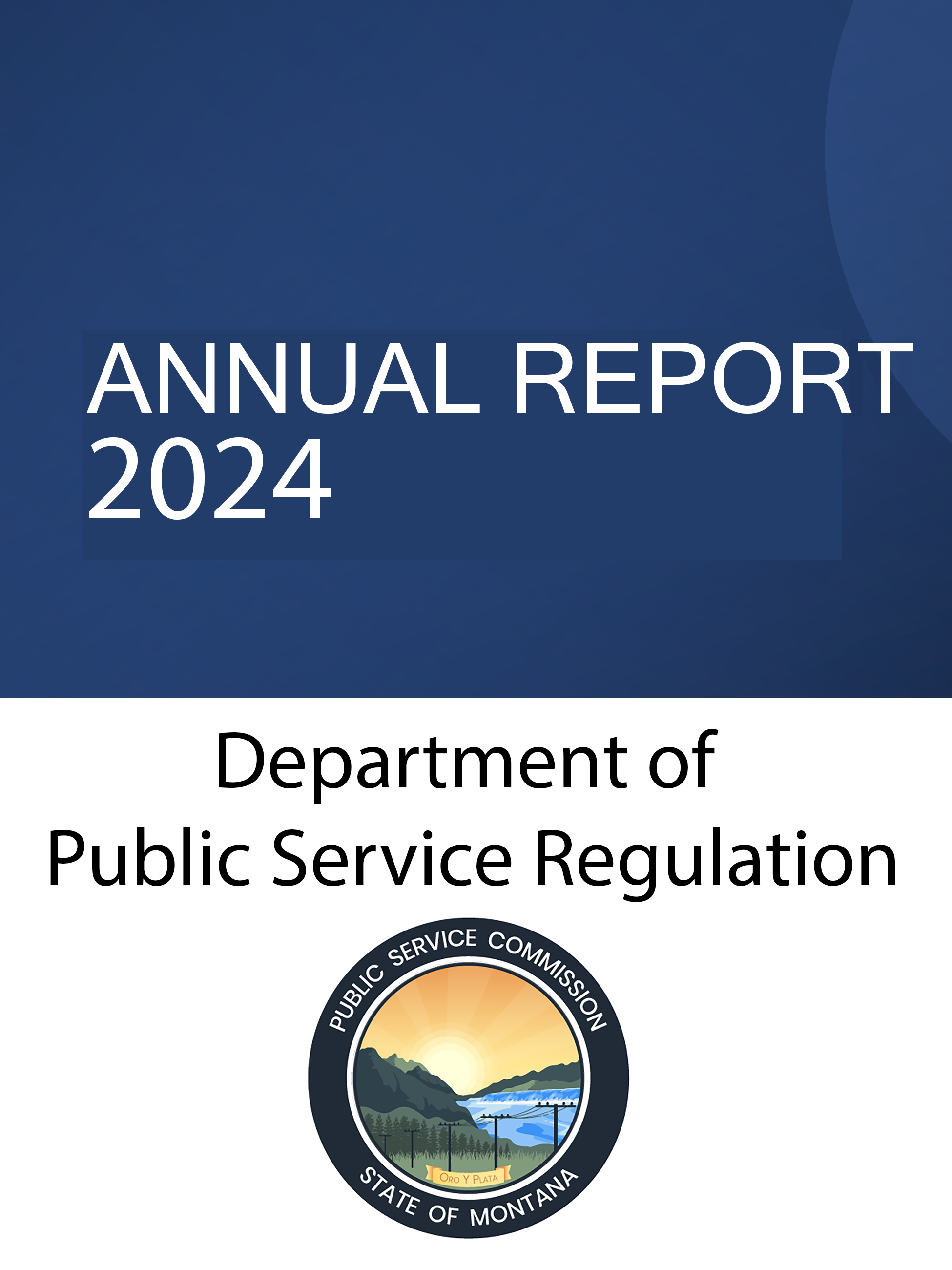 Department of Public Service Regulation Annual Report
