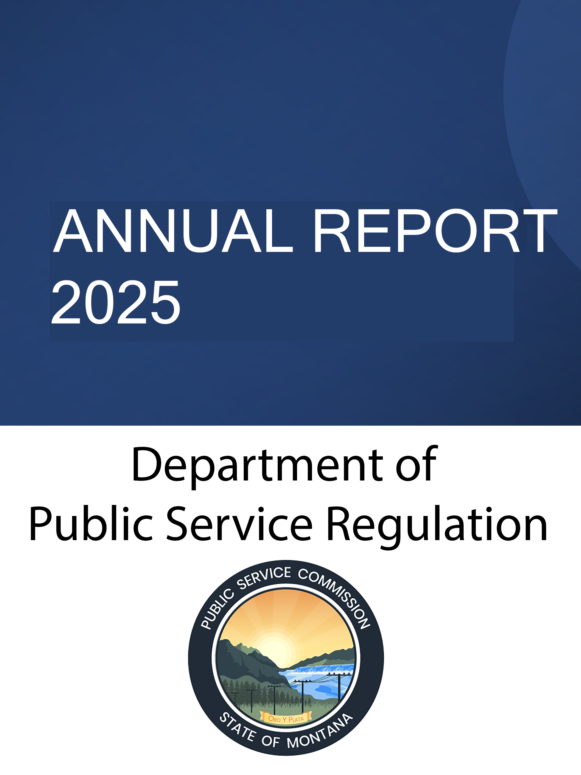 Department of Public Service Regulation Annual Report